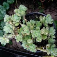 20171111 151425 copier 