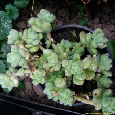 20171111 151425 copier 