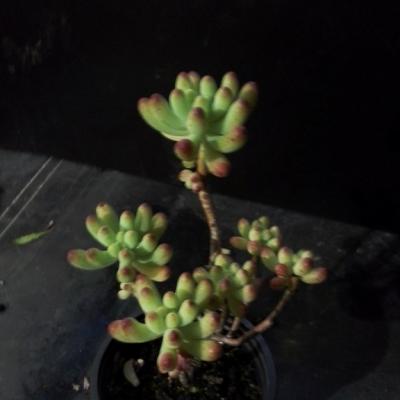 20171201 140924 copier 