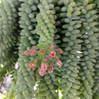 Img 20180523 104730722 copier 