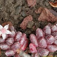 Img 20180523 175504253 hdr copier 