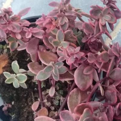 Img 20180930 193507458