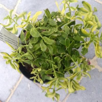 Img 20180930 193549187