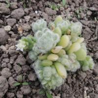 Img 20190406 161848 copier 