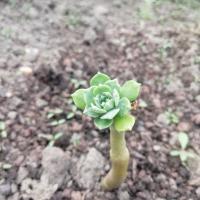 Img 20190406 161922 copier 