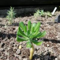 Img 20190504 125852 copier 