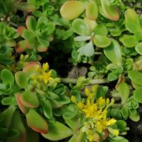 Img 20190504 125947 copier 