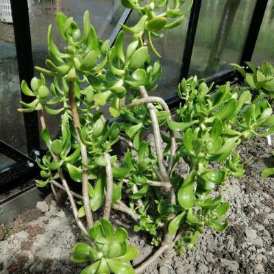 Img 20190504 130012 copier 