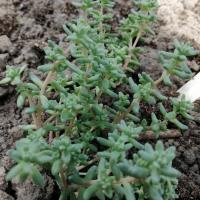 Img 20190504 130041 2 copier 