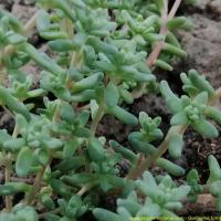 Img 20190504 130041 3 copier 