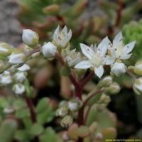 Img 20190517 190408 copier 