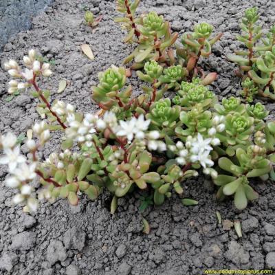 Img 20190517 190418 copier 