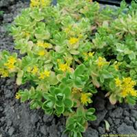 Img 20190517 191322 copier 