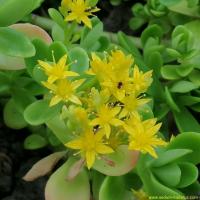 Img 20190517 191337 copier 