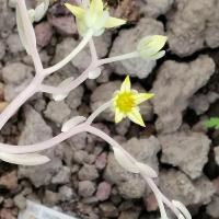 Img 20190521 181010 copier 