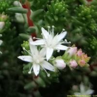 Img 20190530 100055 2 copier 