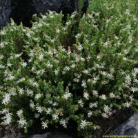 Img 20190530 100108 copier 