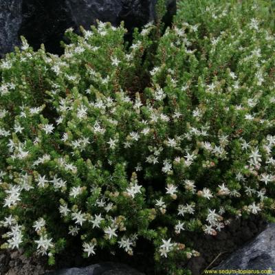 Img 20190530 100108 copier 