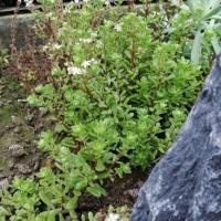 Img 20191111 100958 copier 