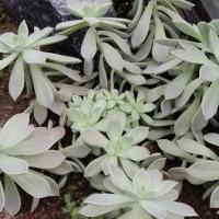 Img 20191111 101054 copier 