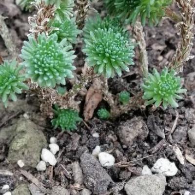 Img 20200112 161211 copier 