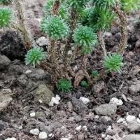 Img 20200112 161234 copier 