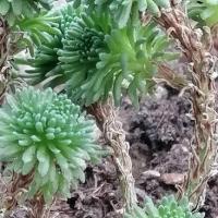 Img 20200112 161251 copier 