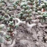 Img 20200112 161519 copier 