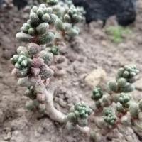 Img 20200112 161540 copier 