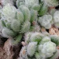 Img 20200112 161640 copier 