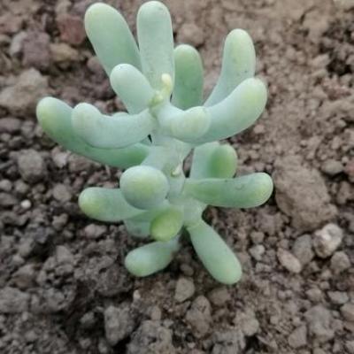 Img 20200112 161659 copier 