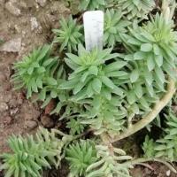 Img 20200112 161911 copier 