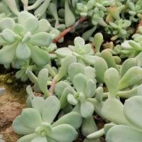 Img 20200112 162012 copier 