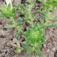 Img 20200112 162053 copier 