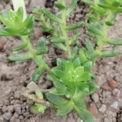 Img 20200112 162053 copier 