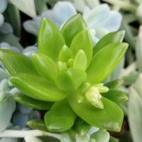 Img 20200112 162106 copier 