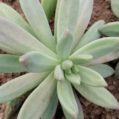 Img 20200112 162200 copier 