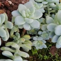 Img 20200112 162319 copier 