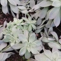 Img 20200112 162428 copier 