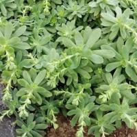 Img 20200112 162539 copier 