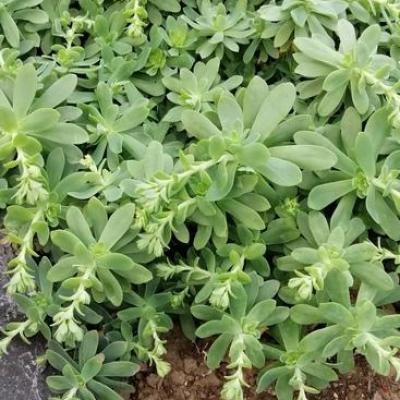 Img 20200112 162539 copier 