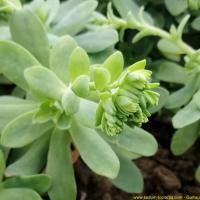 Img 20200112 162548 2 copier 