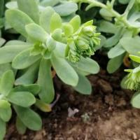 Img 20200112 162548 copier 