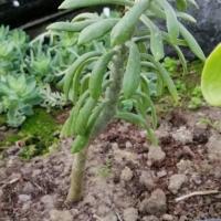 Img 20200112 162925 copier 