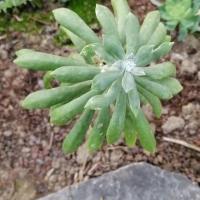 Img 20200112 163015 copier 