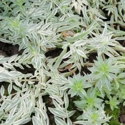 Img 20200112 163027 2 copier 