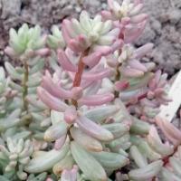 Img 20200112 163119 2 copier 