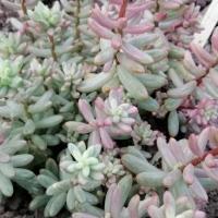 Img 20200112 163119 copier 