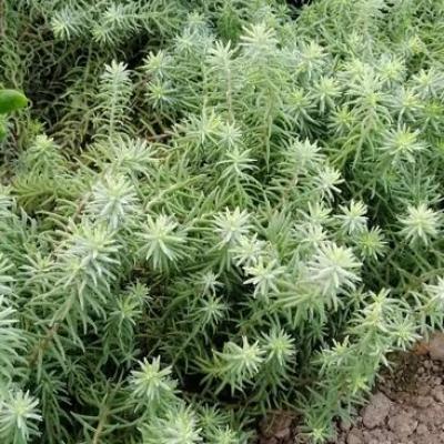 Img 20200112 163305 copier 