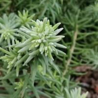 Img 20200112 163315 copier 